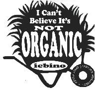 ICBINO logo ICBINO logo