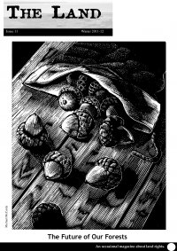 The Land Issue 11 The Land Issue 11