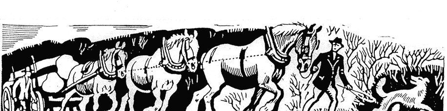 Horse team pulling timber